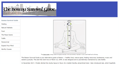 Desktop Screenshot of bostonsurvivalguide.net
